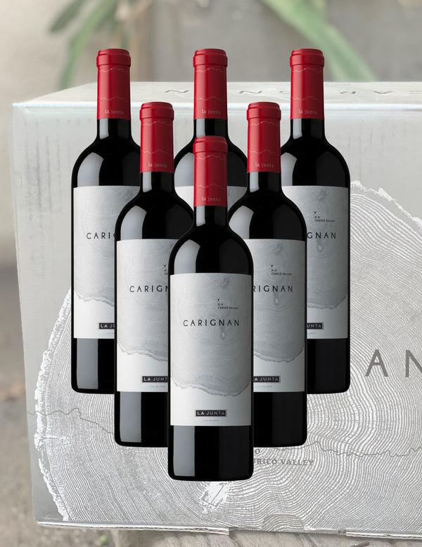 PACK CAJA CARIGNAN (6 VINOS)