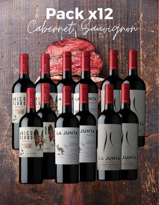 PACK 12x Cabernet Sauvignon