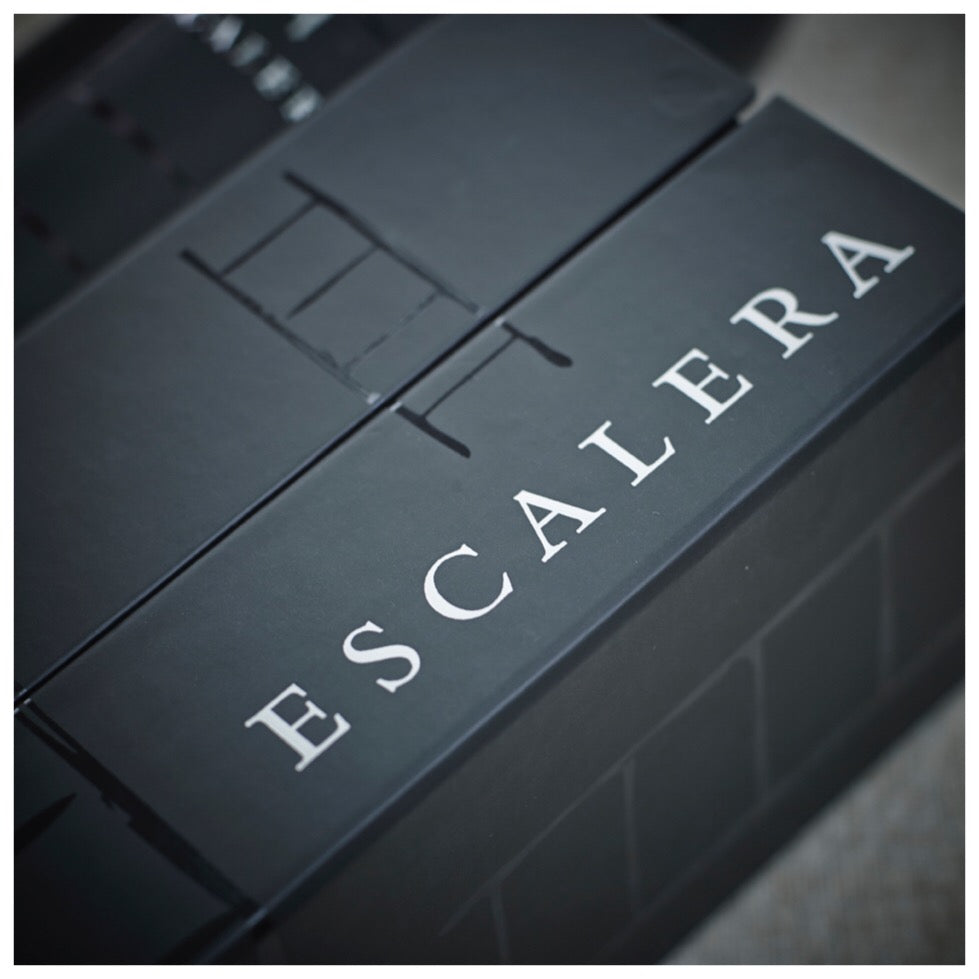 ESCALERA ICONO Premium
